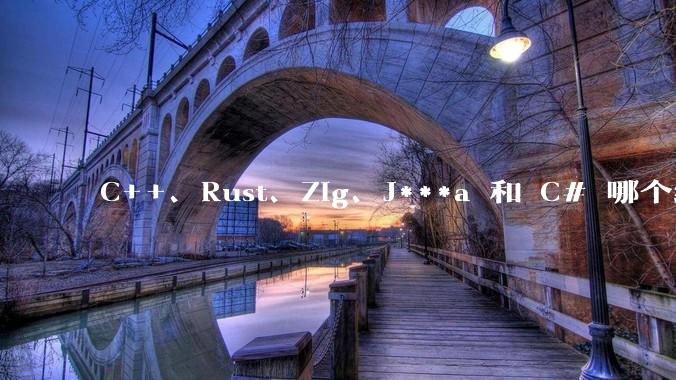 C++、Rust、Zig、J***a 和 C# 哪个编程语言更适合年轻人学习？