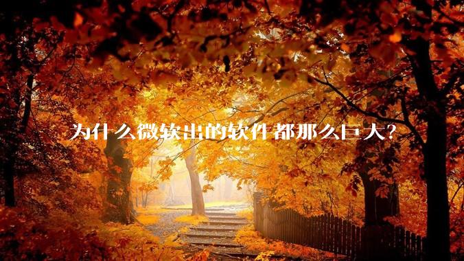 为什么微软出的软件都那么巨大？
